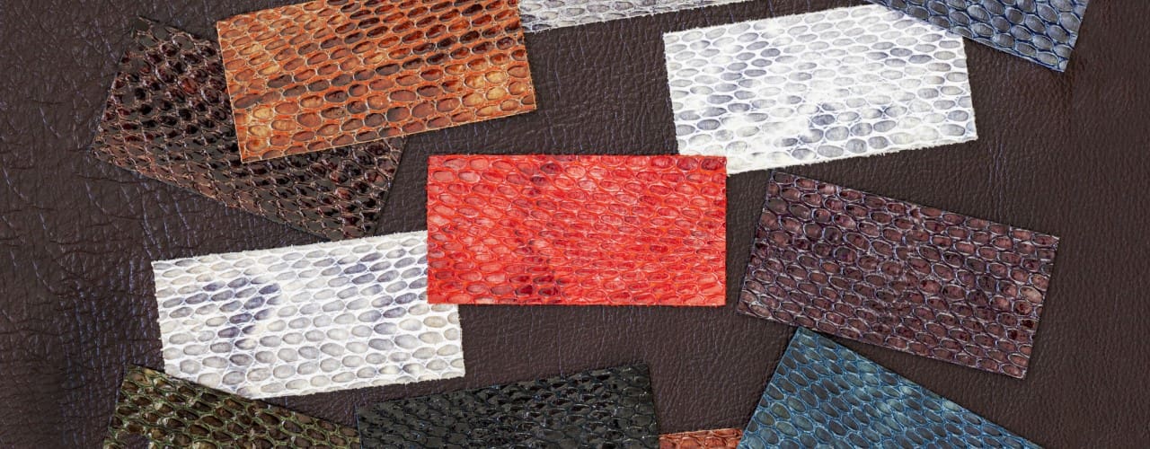 What is Embossing and Debossing? Blog Metallic Elephant