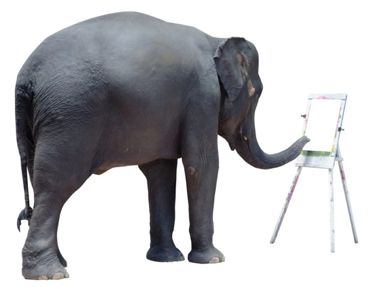 Artwork Information | Metallic Elephant